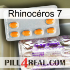 Rhinocéros 7 new12